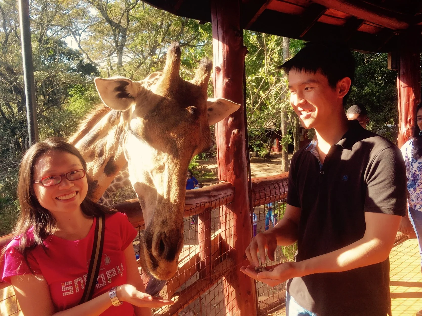 Feeding the giraffes in Kenya - home for two years!