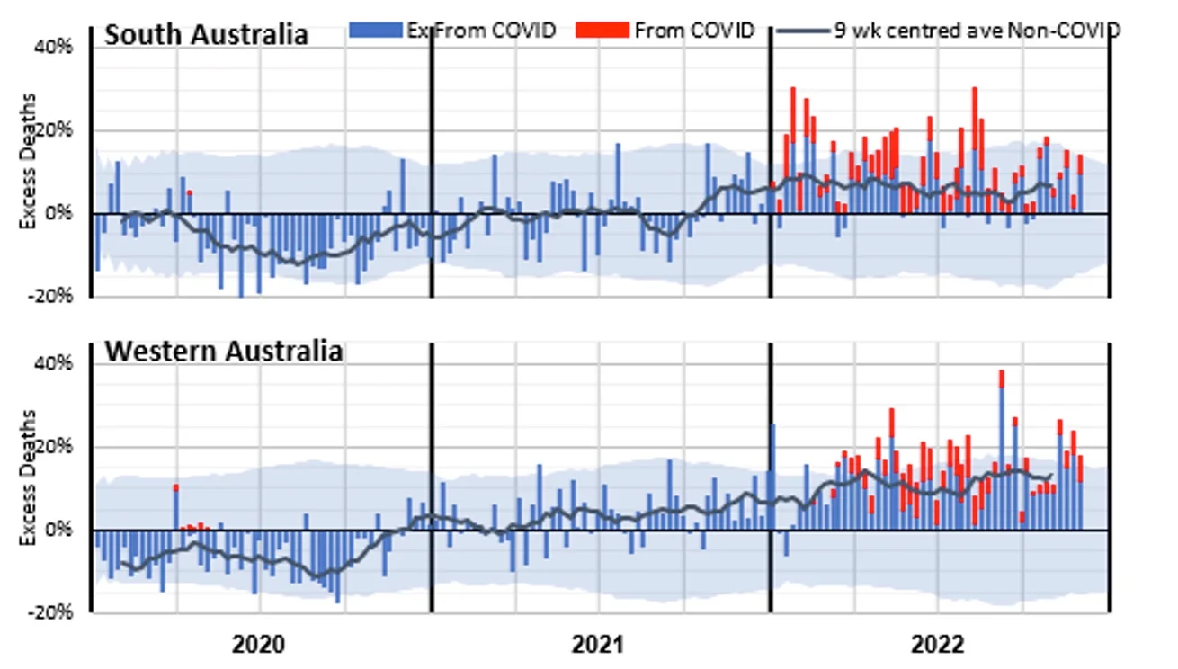 Figure 12 – Weekly excess deaths as a % of predicted in 2020-22 for WA and SA*