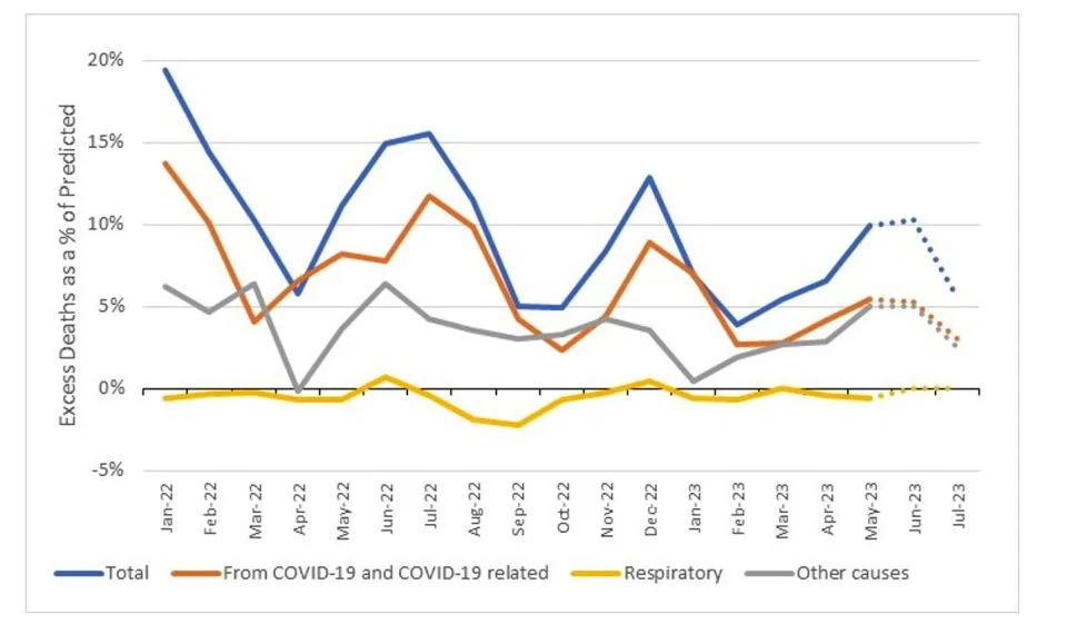Figure 5 – Excess deaths (% of predicted) by month in 2022 and 2023