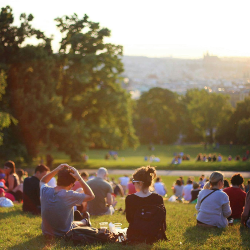 Various groups of people sit on a grassy hill in the sun