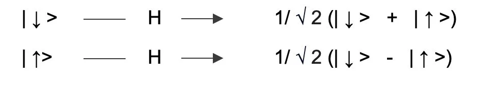 WordPress Image 111252297