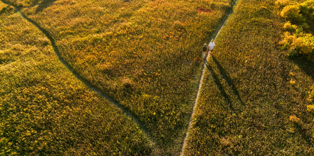 aerial view of green landscape with diverting paths, with couple walking on one path