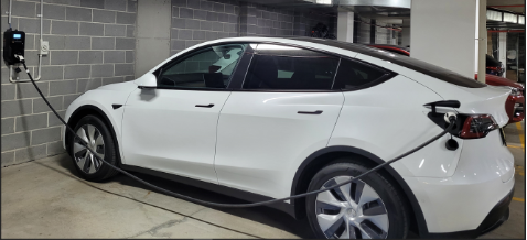 WordPress Image 111250584