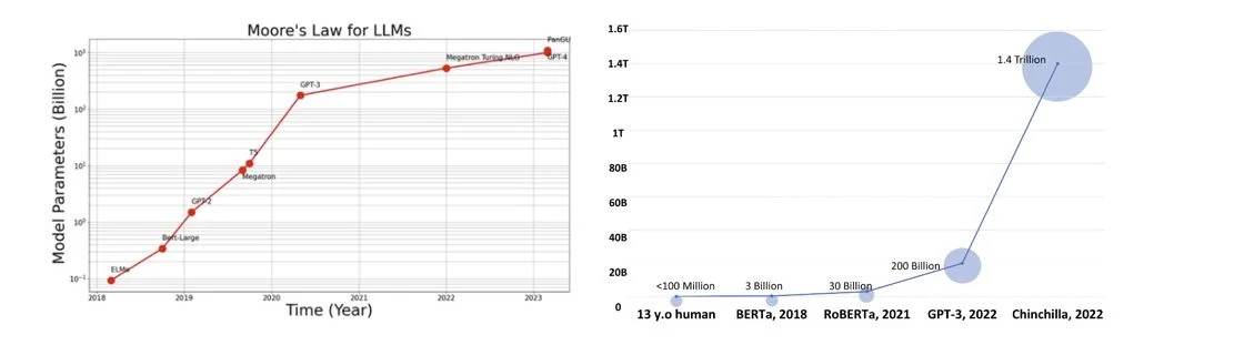 WordPress Image 111249999