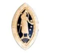 1st Institute Logo