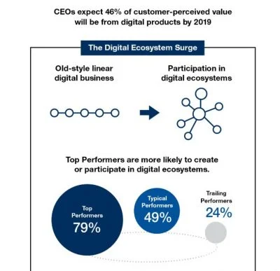 digital ecosystems infographic