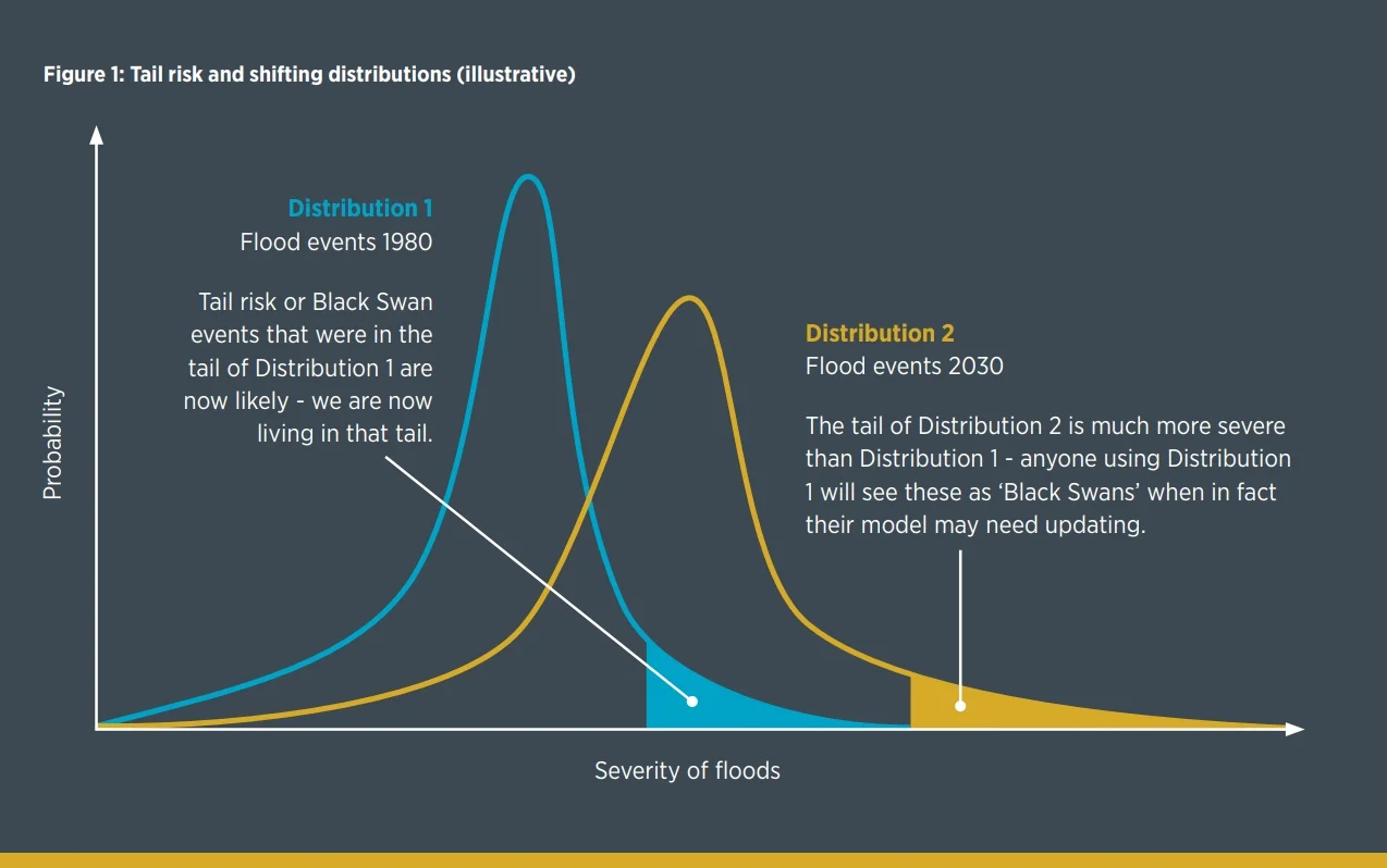 Probability