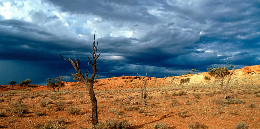 Australian Actuaries Climate Index - Actuaries Institute