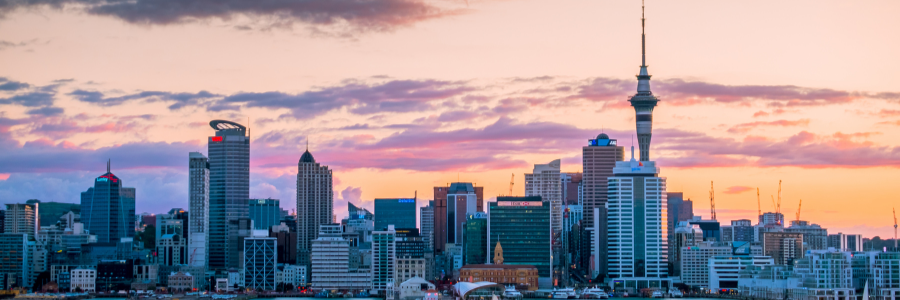 Auckland Skyline 