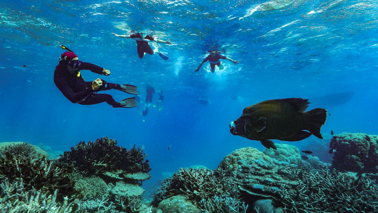 Photo: Dean Miller/Great Barrier Reef Legacy