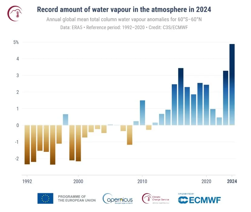 WordPress Image 111253805