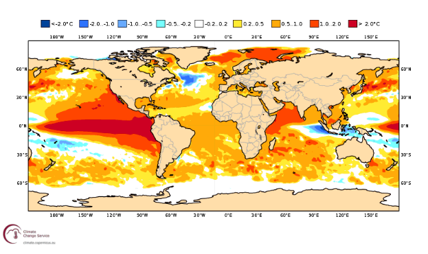Figure 3: Projected SSTAs for October from ECMWF- note the large warm pool of anomalies that extends beyond the East Pacific and into Central and Northern Pacific regions. Source: ECMWF 
