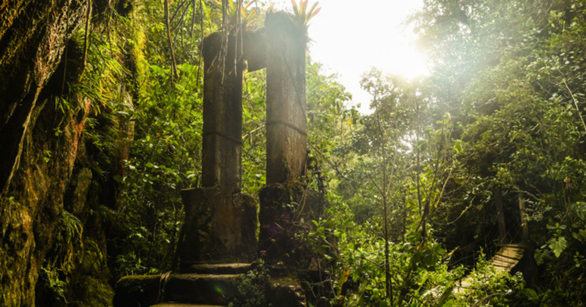 The Cocora Valley near Salento in Colombia with giants palms trees