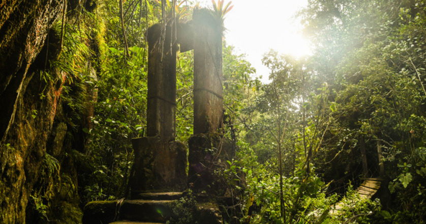 The Cocora Valley near Salento in Colombia with giants palms trees