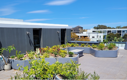 WordPress Image 111250581