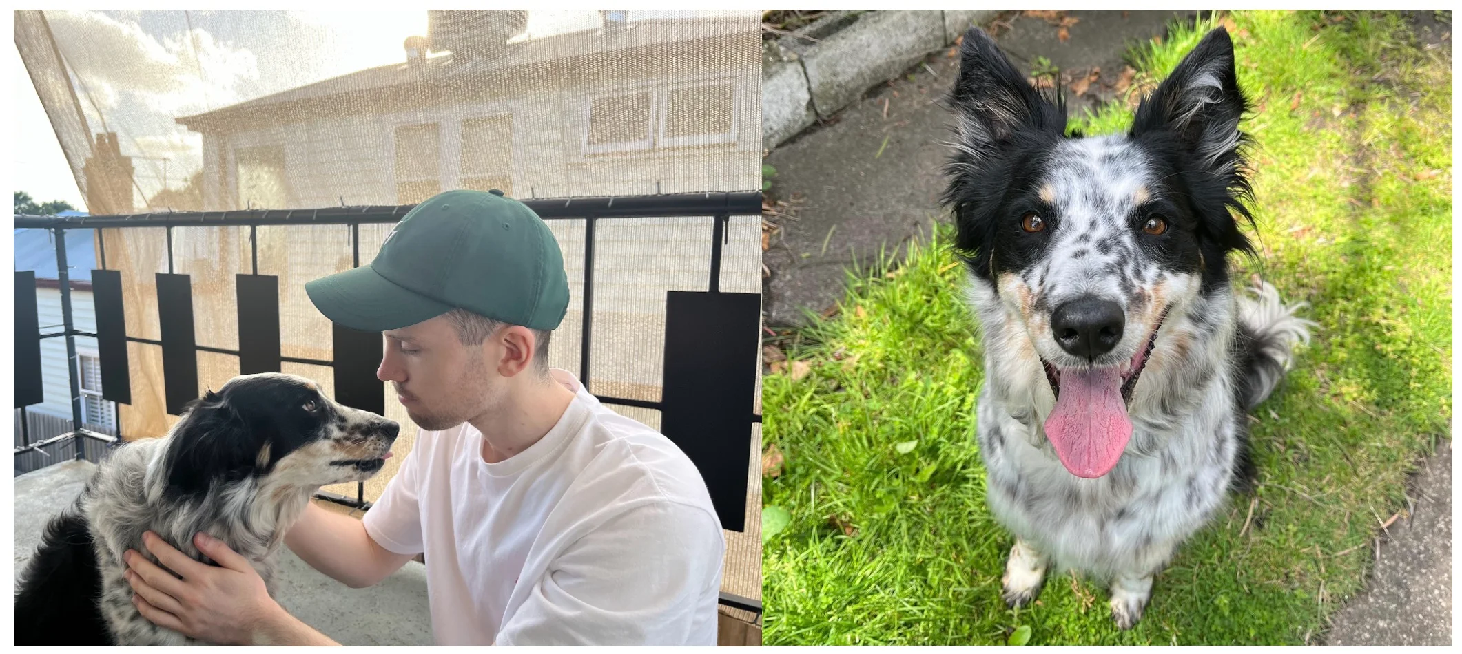 A photo of Tom and Nelly