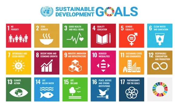 WordPress Image 111247137