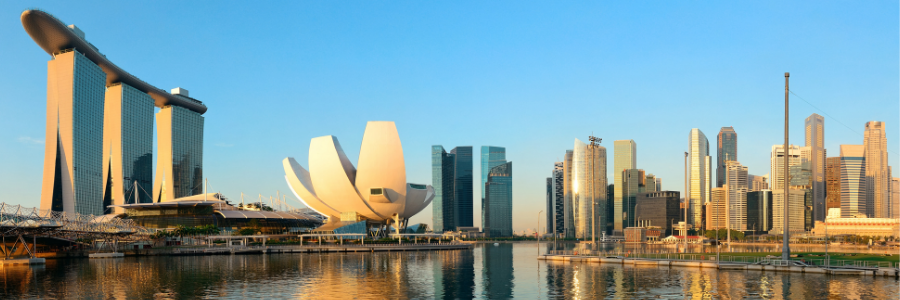 Singapore Skyline 