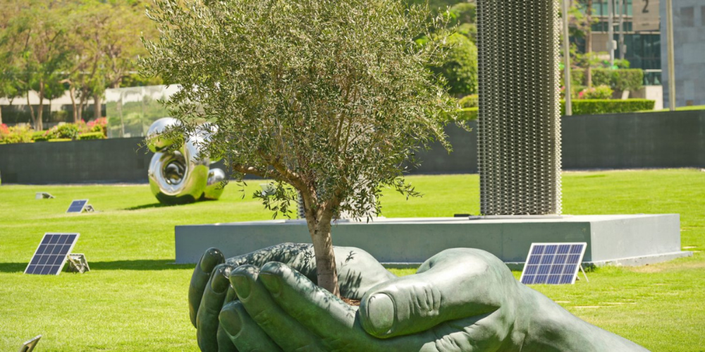 Statue of hands in a cup shape, with an olive tree growing from the center.