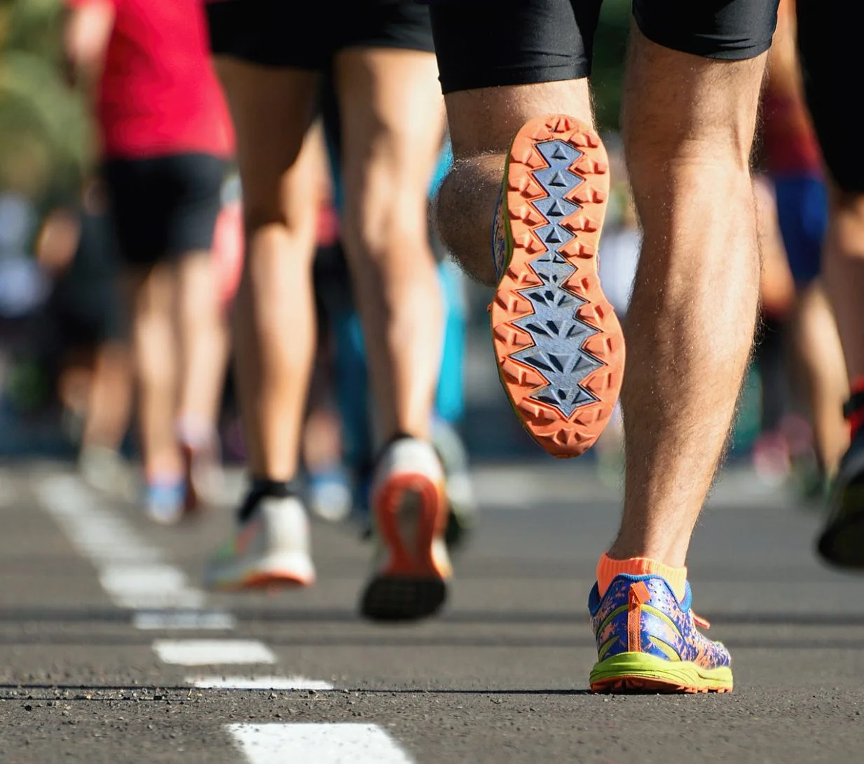 WordPress Image 111246510