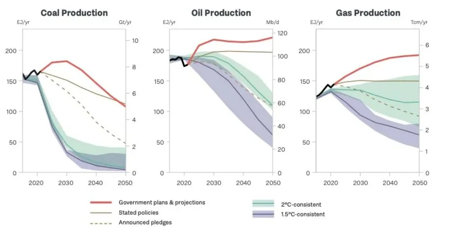 WordPress Image 111250816