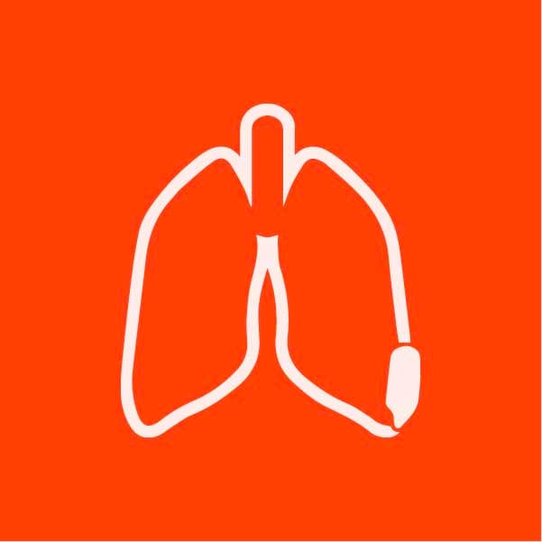 mesothelioma vs small cell lung cancer