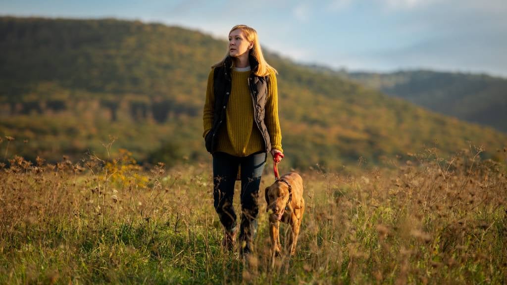 Tips For Becoming A More Mindful Dog Walker Choosi