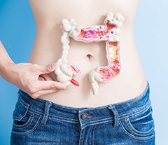 Gut Health Analysis Intestinal Profile