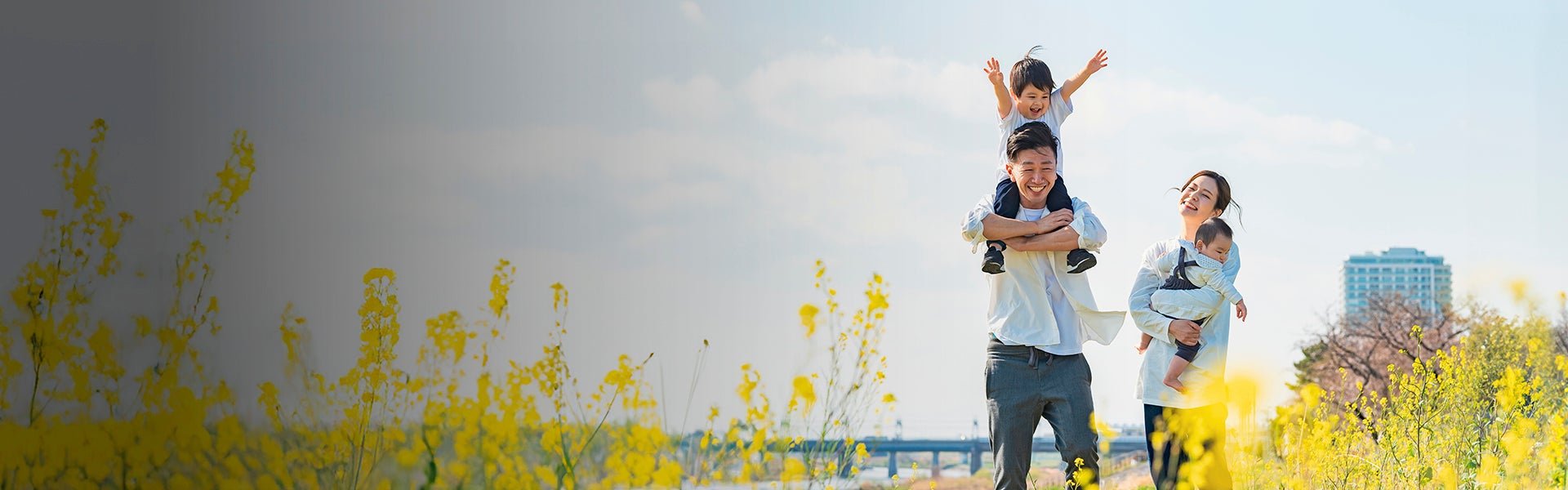 ISIP 1920x600px (16 by 5).jpg