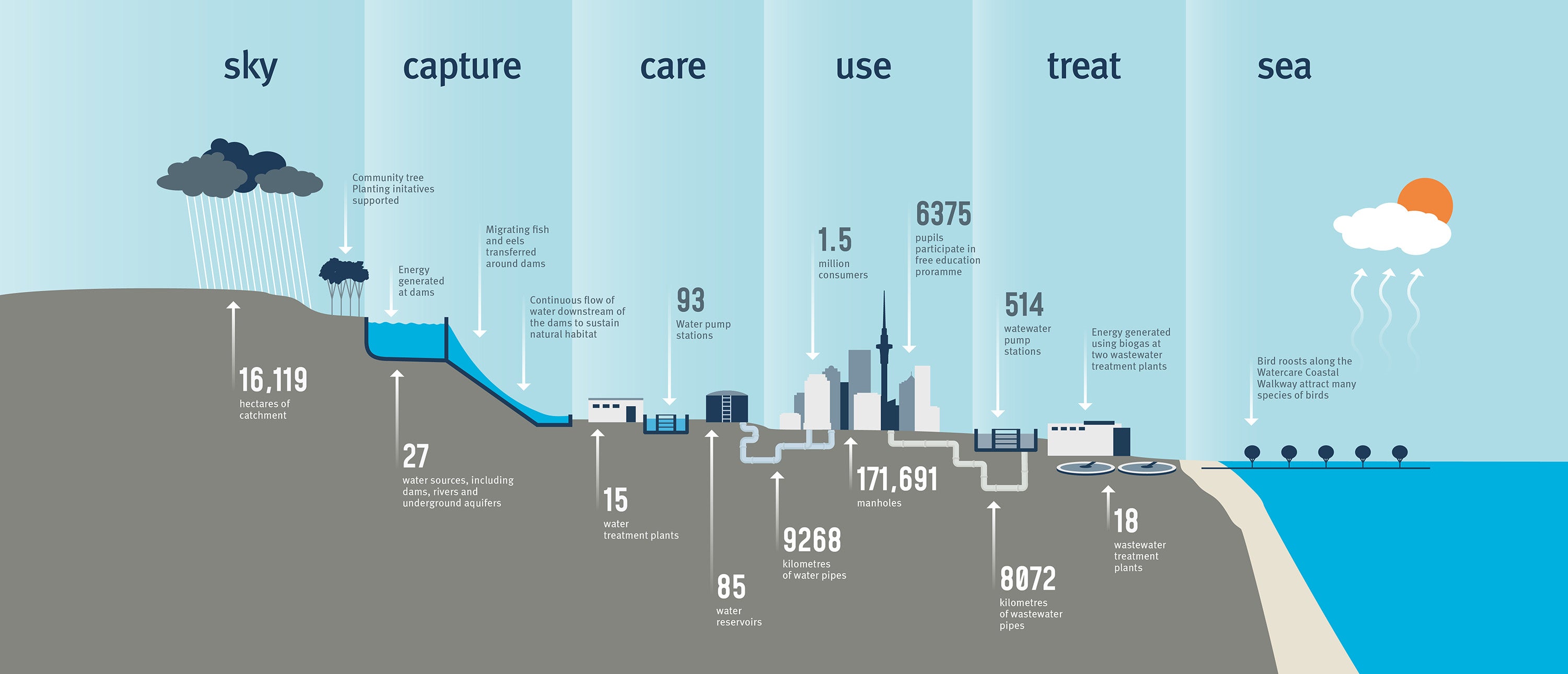 Image showing water's journey from the sky to the sea and Watercare's role in the process