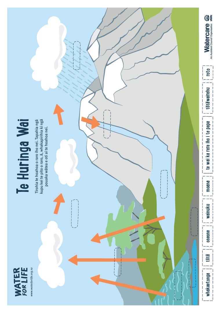 teach_MAORI-WaterCycle_oct2020.pdf