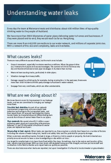 understanding_leaks_fact_sheet.pdf