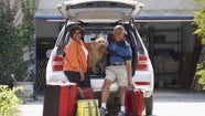 How To Plan A Dog friendly Road Trip Australian Seniors