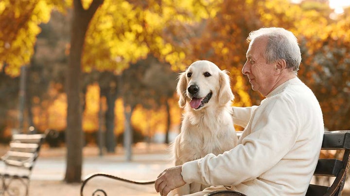 what is the best pet insurance for older dogs