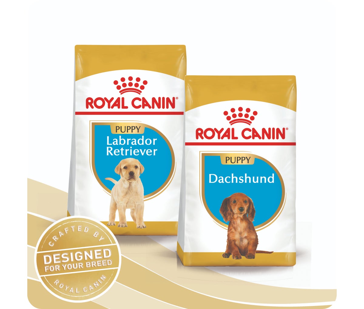 Buy Royal Canin Labrador Puppy Dry Dog Online PetCulture