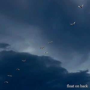 Artwork for track: Float on back by Marline