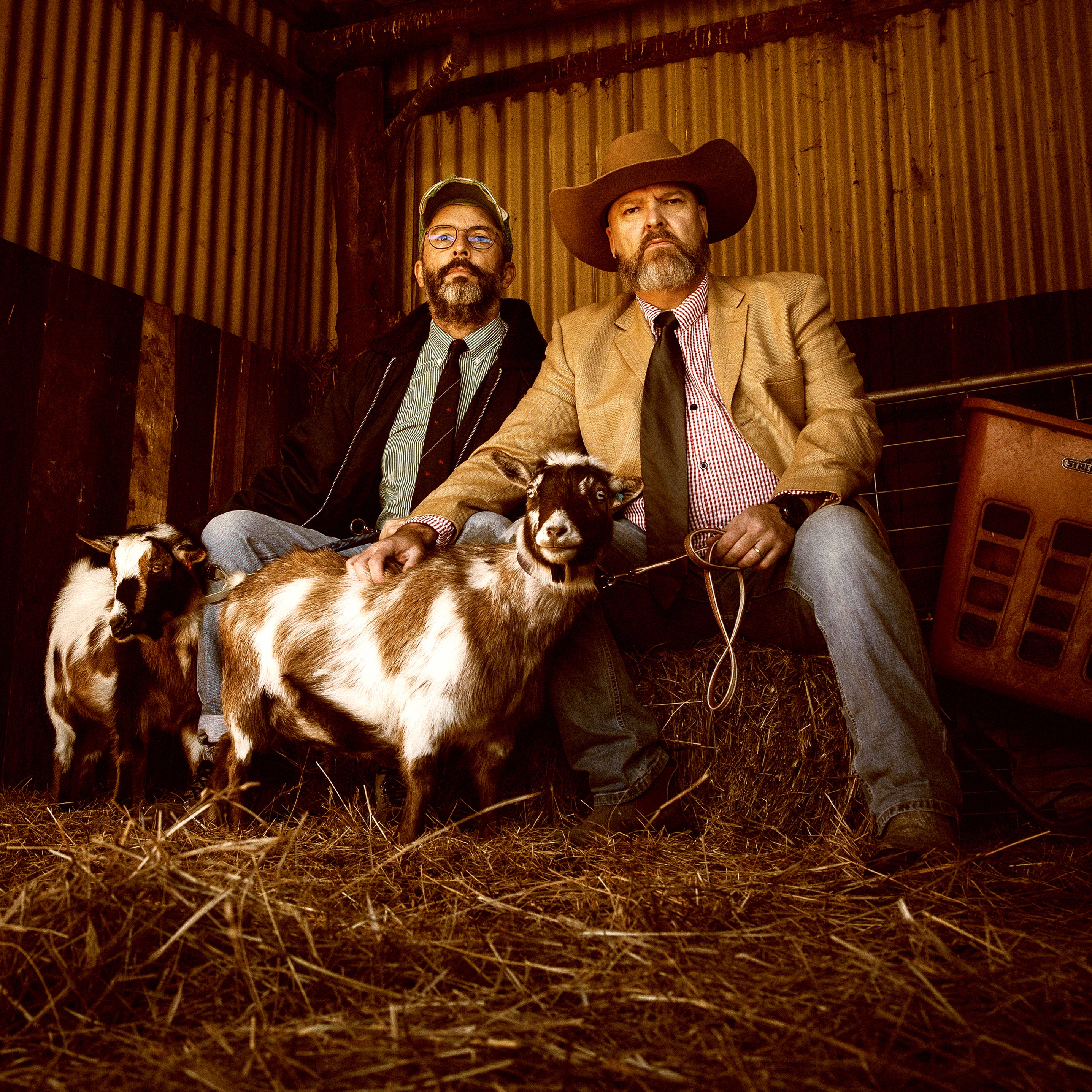 Steelcase Goat Rodeo Goat Rodeo | triple j Unearthed