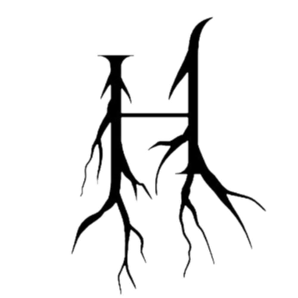 We The Hollow Triple J Unearthed we-the-hollow-triple-j-unearthed