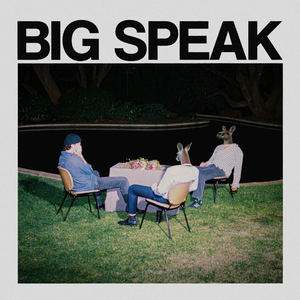 Artwork for track: Big Speak by Ra Ra Viper