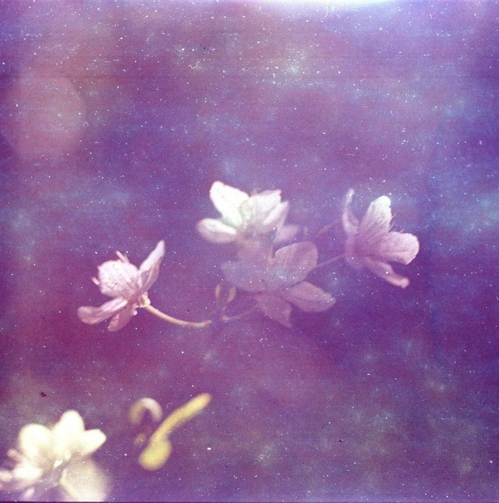 past-punk-triple-j-unearthed