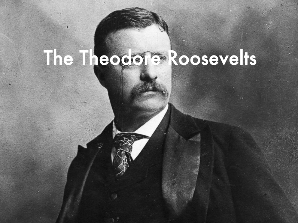 The Theodore Roosevelts | Triple J Unearthed