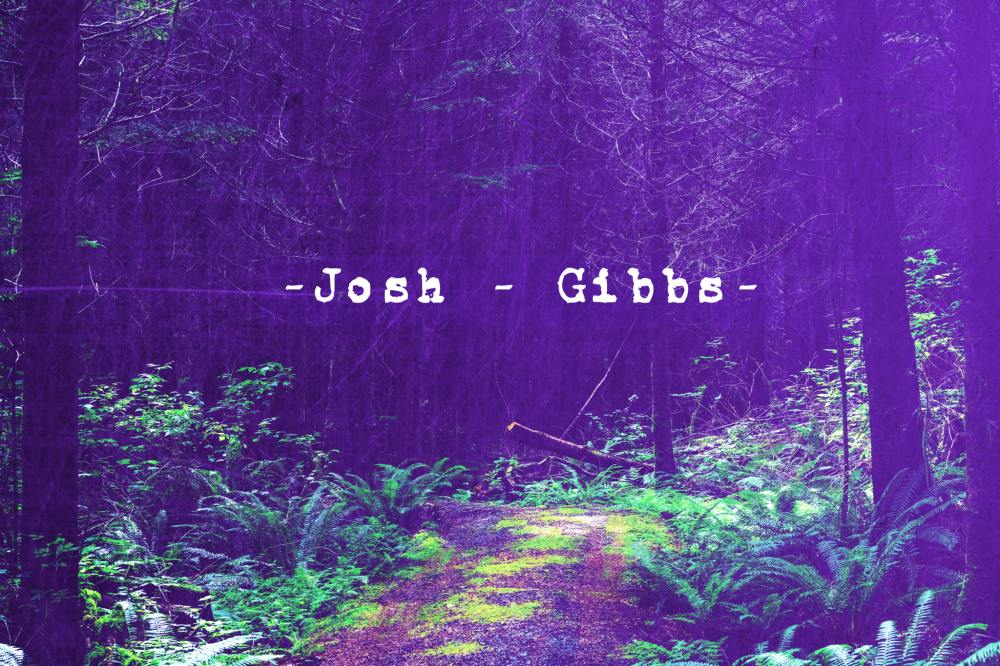 Josh Gibbs triple j Unearthed