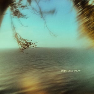 Artwork for track: Suddenly Okay by Blake Rose