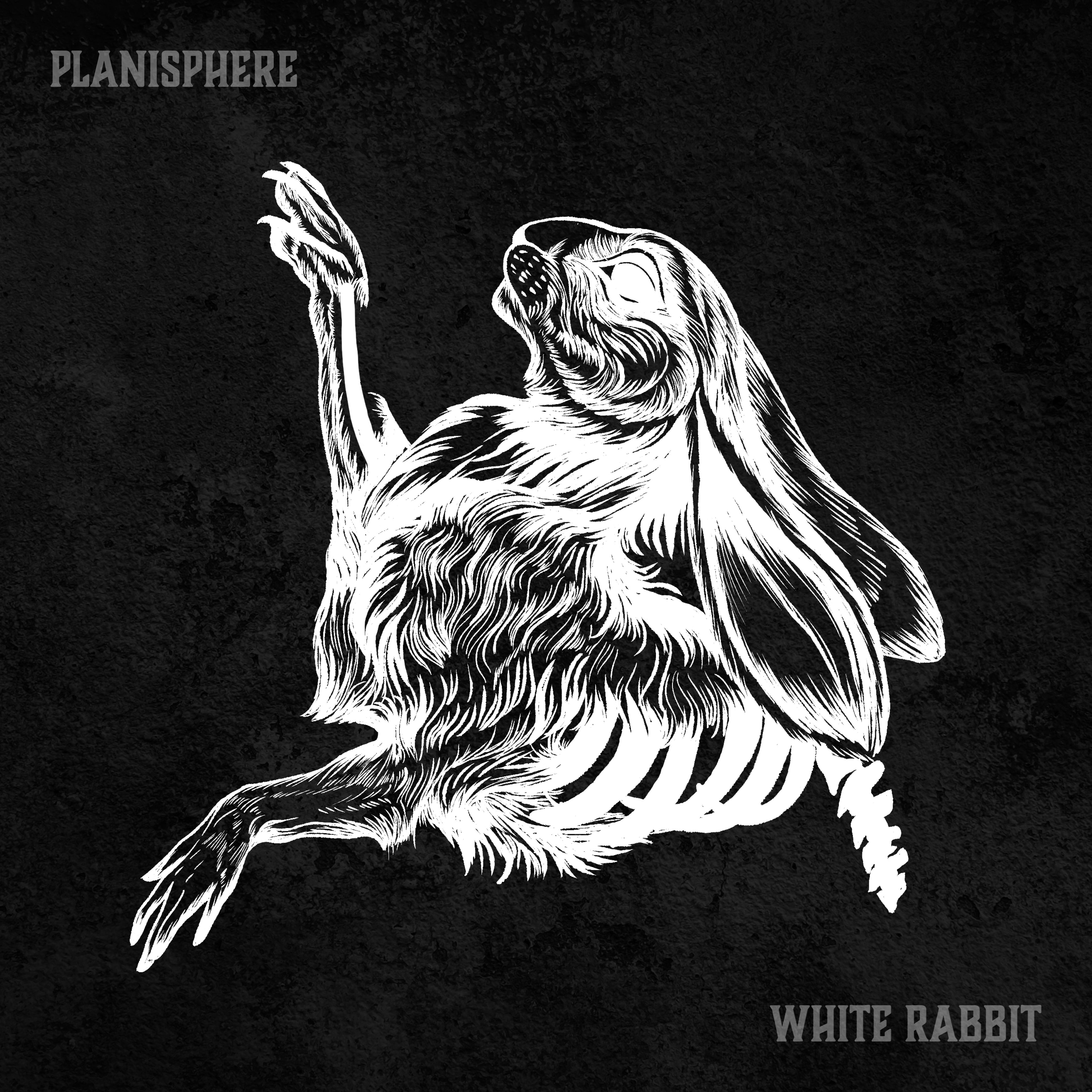 Planisphere, Various Artists