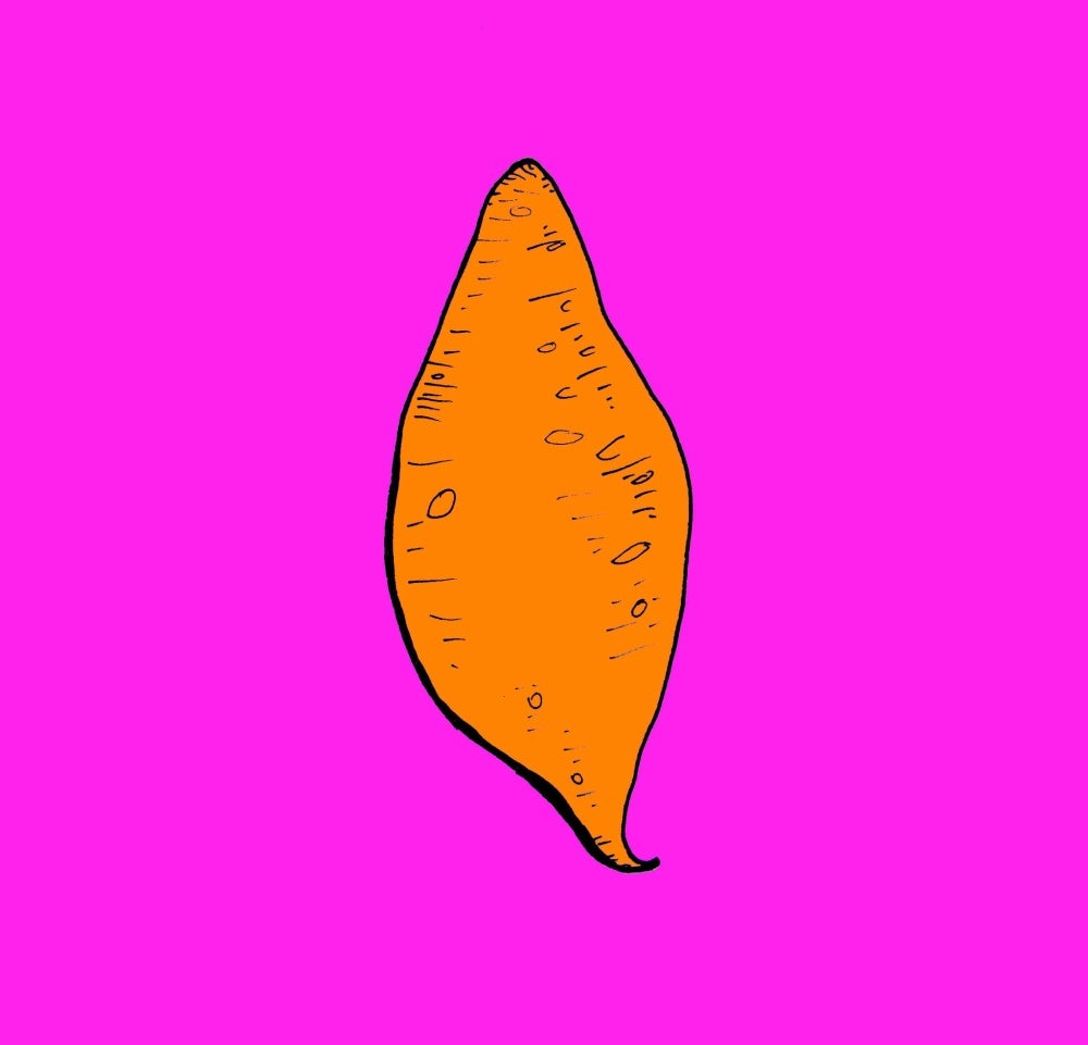 Sweet potato hand drawn illustration set - Stock Illustration [93760129] -  PIXTA