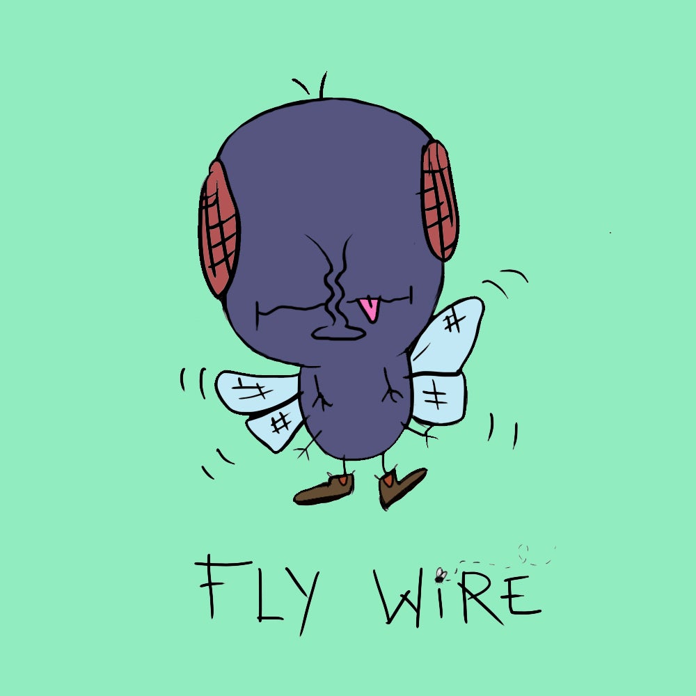 lunarlon flywire