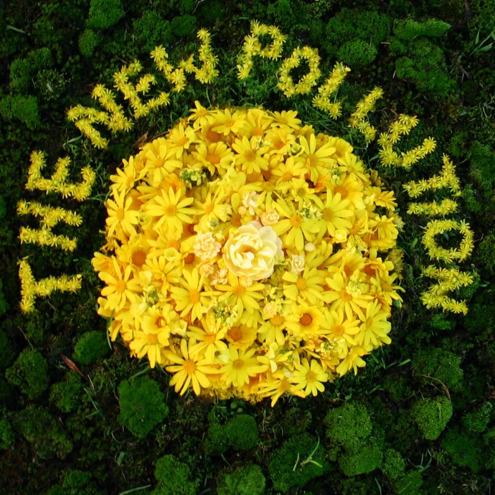 The New Pollution triple j Unearthed