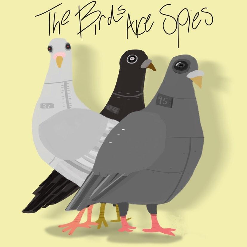 The Birds Are Spies | triple j Unearthed