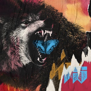 We Move Like Giants | triple j Unearthed