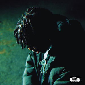 Artwork for track: Who’s Dat! by DRIZZZ